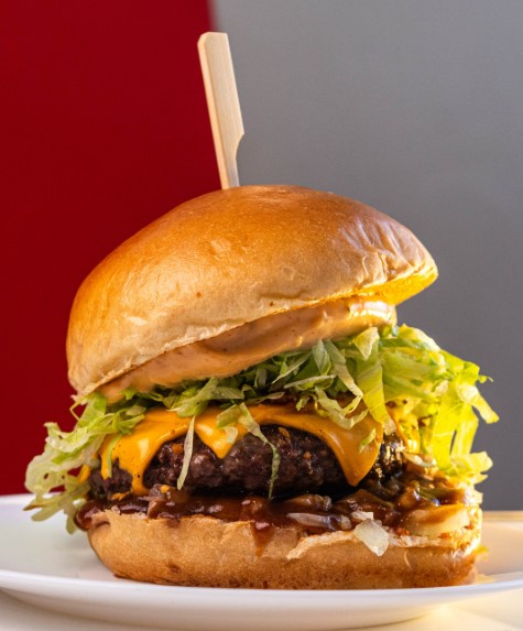 zé do hamburger